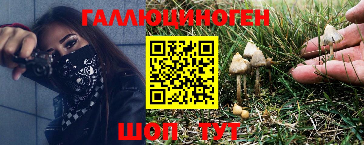 Псилоцибиновые грибы GOLDEN TEACHER Алушта