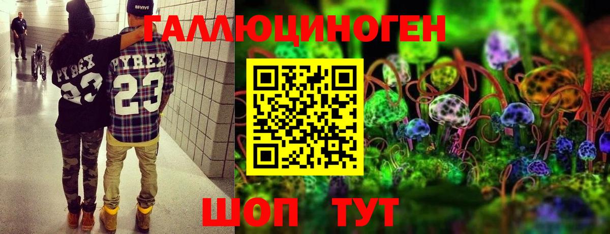 что такое наркотик  Псилоцибиновые грибы прущие грибы  Вход с VPN  Алушта 